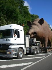 woinic sur un camion