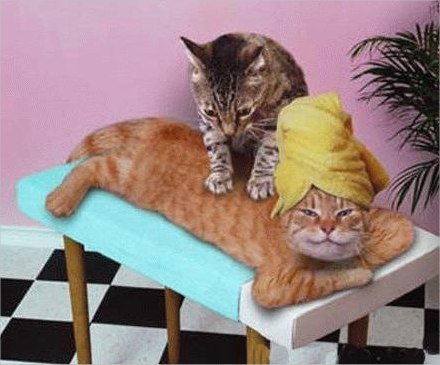 agreable le massage 